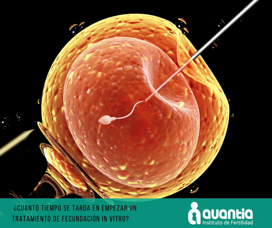 Tiempo en realizar un proceso de Fecundación in vitro