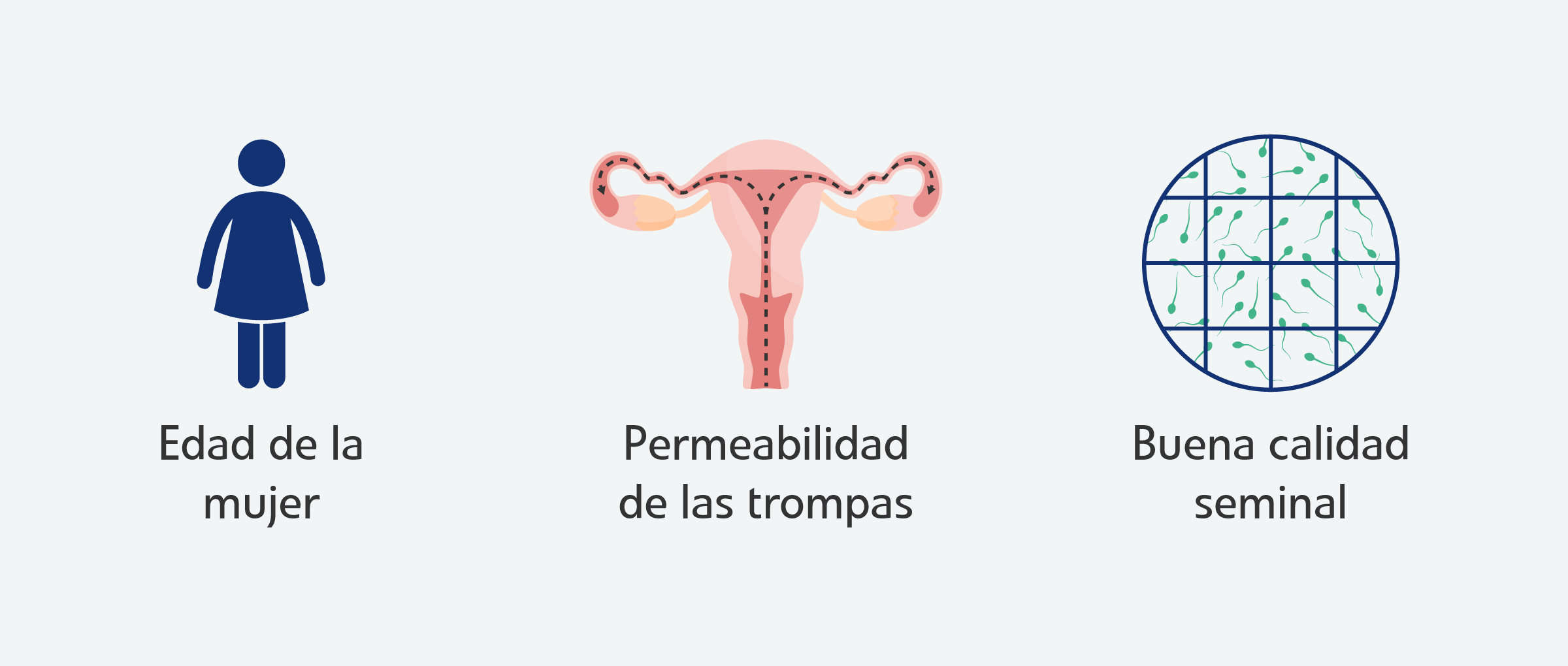 ¿Cuáles son los requisitos para una inseminación artificial?